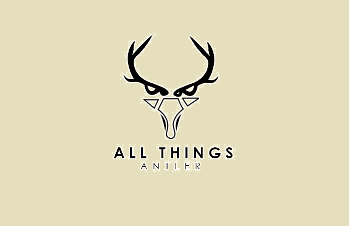 All Things Antler  (ALM COMMODITIES LTD)