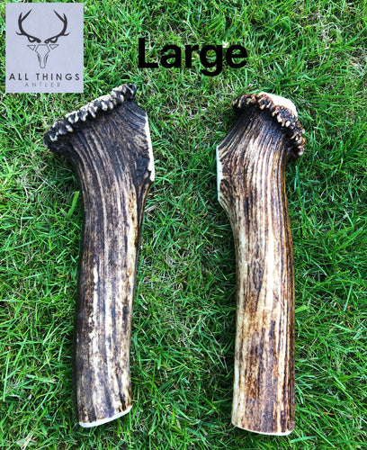 Deer Antler Chew - Large