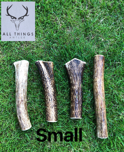 Deer Antler Chew - Small