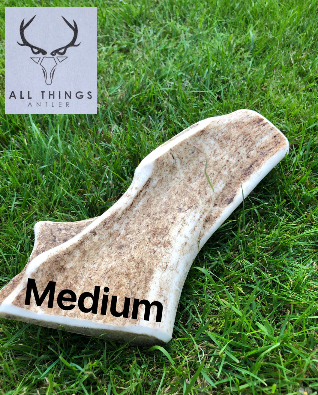 Fallow Deer Antler Chew - Medium