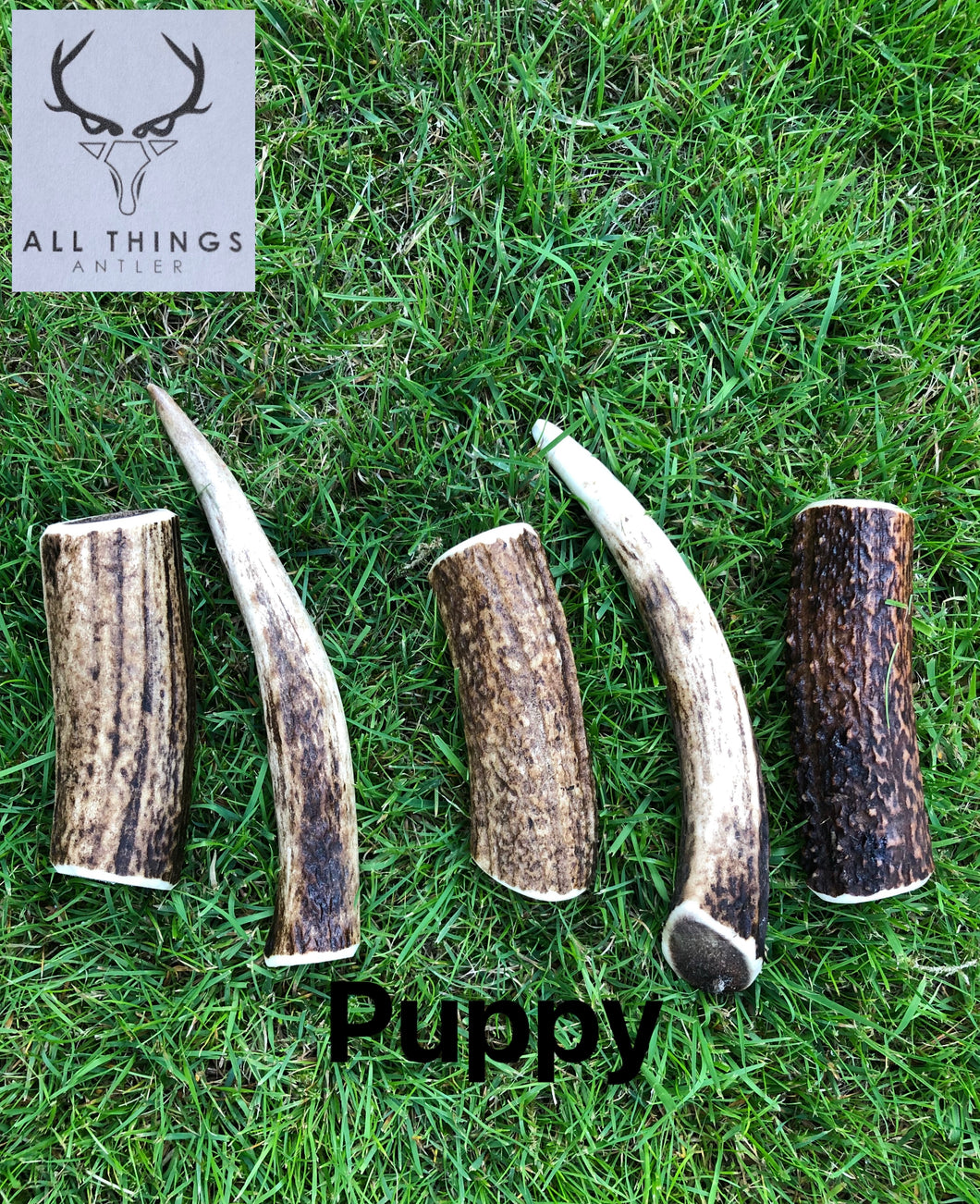 Deer Antler Chew - Puppy (Pack of 3)