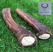 Deer Antler Chew - XXLarge