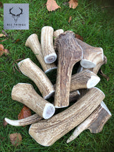 Bulk Deer Antler Pack